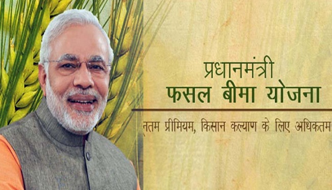 प्रधानमंत्री फसल बीमा योजना (प्रतीकात्मक तस्वीर) प्रधानमंत्री फसल बीमा योजना (प्रतीकात्मक तस्वीर)