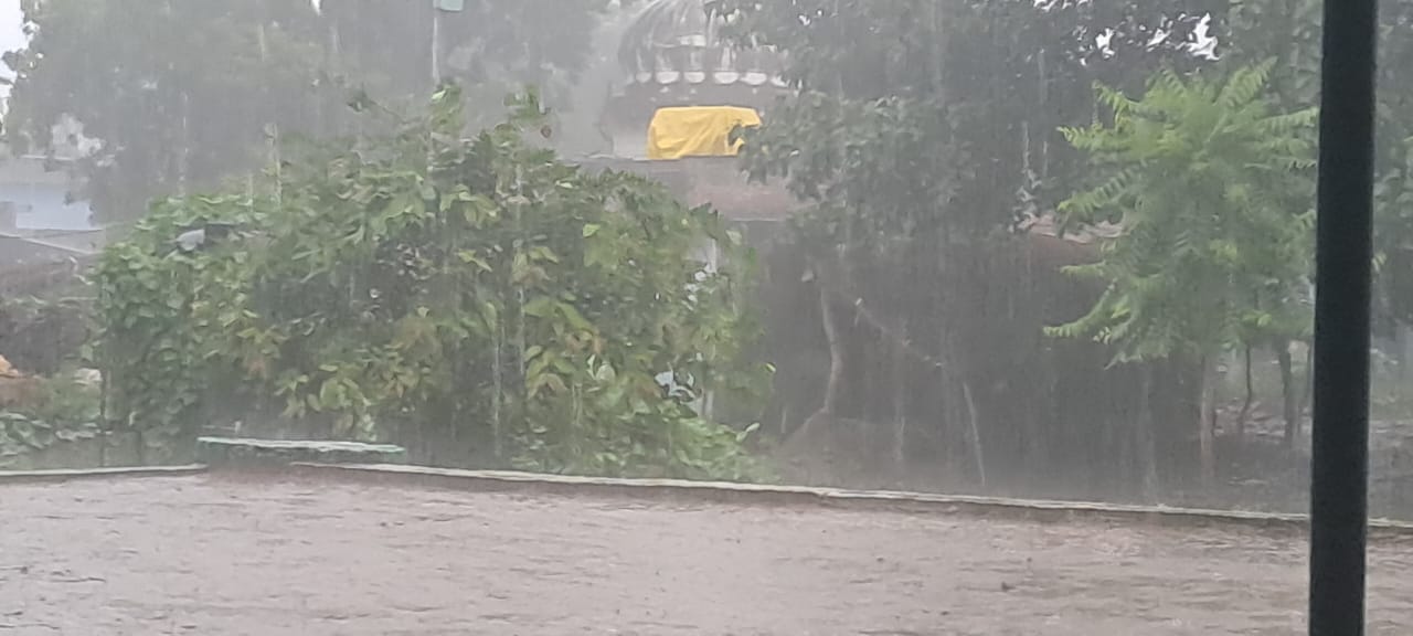 फोटो - जिले के बीहड़ इलाके वारिस कि तस्वीर