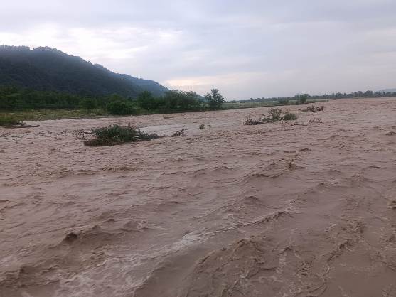 देहरादून शहर से बहती साैंग नदी अपने पूरे ऊफान पर।