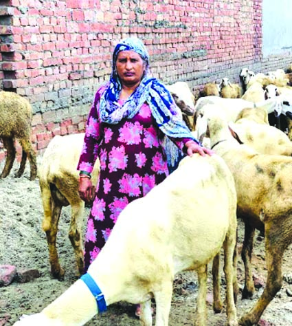 मनीषा मनीषा