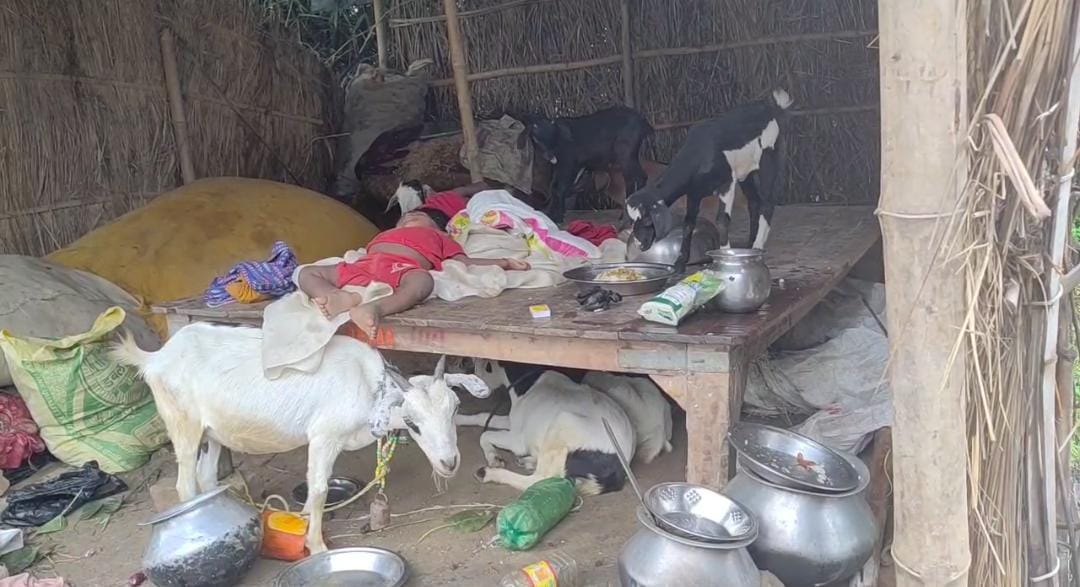 बाढ़ पीड़ितों की जिंदगी बाढ़ पीड़ितों की जिंदगी