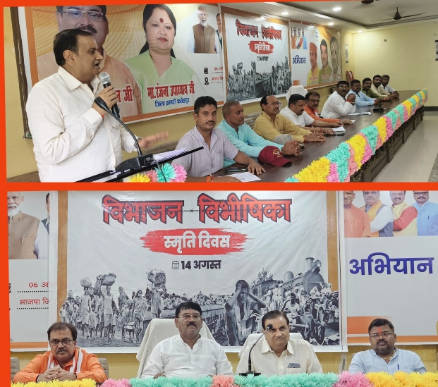 विभाजन विभीषिका का आयोजित कार्यक्रम में भाग लेते प्रदेश कार्य समिति सदस्य राहुल अग्निहोत्री
