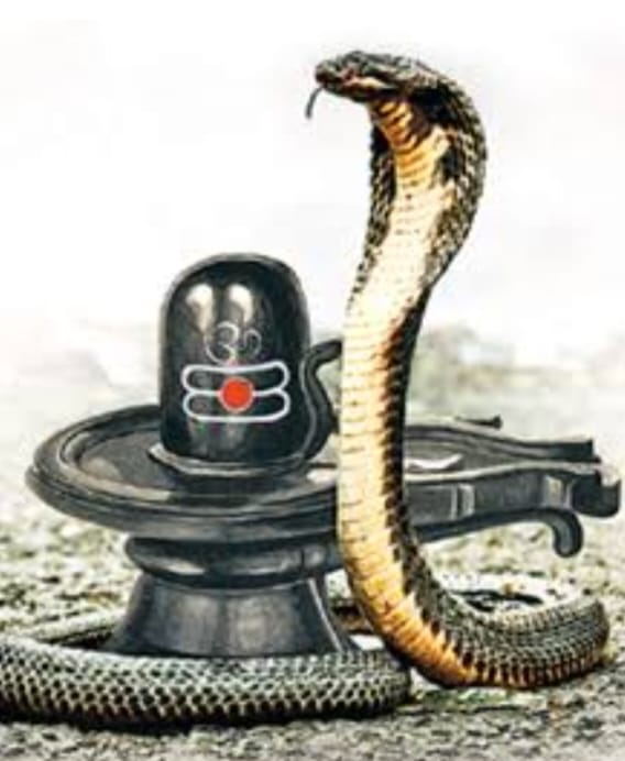 नाग देवता की फोटो