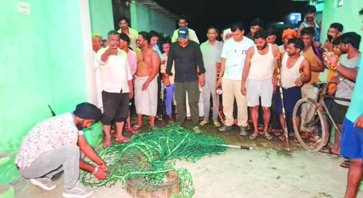 मगरमच्छ का रेस्क्यू करते हुए