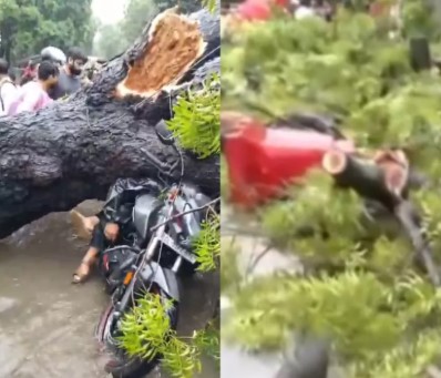 दिल्ली में बारिश के दौरान बड़ा हादसा, पेड़ गिरने से व्यक्ति की मौत, बेटी गंभीर रूप से घायल