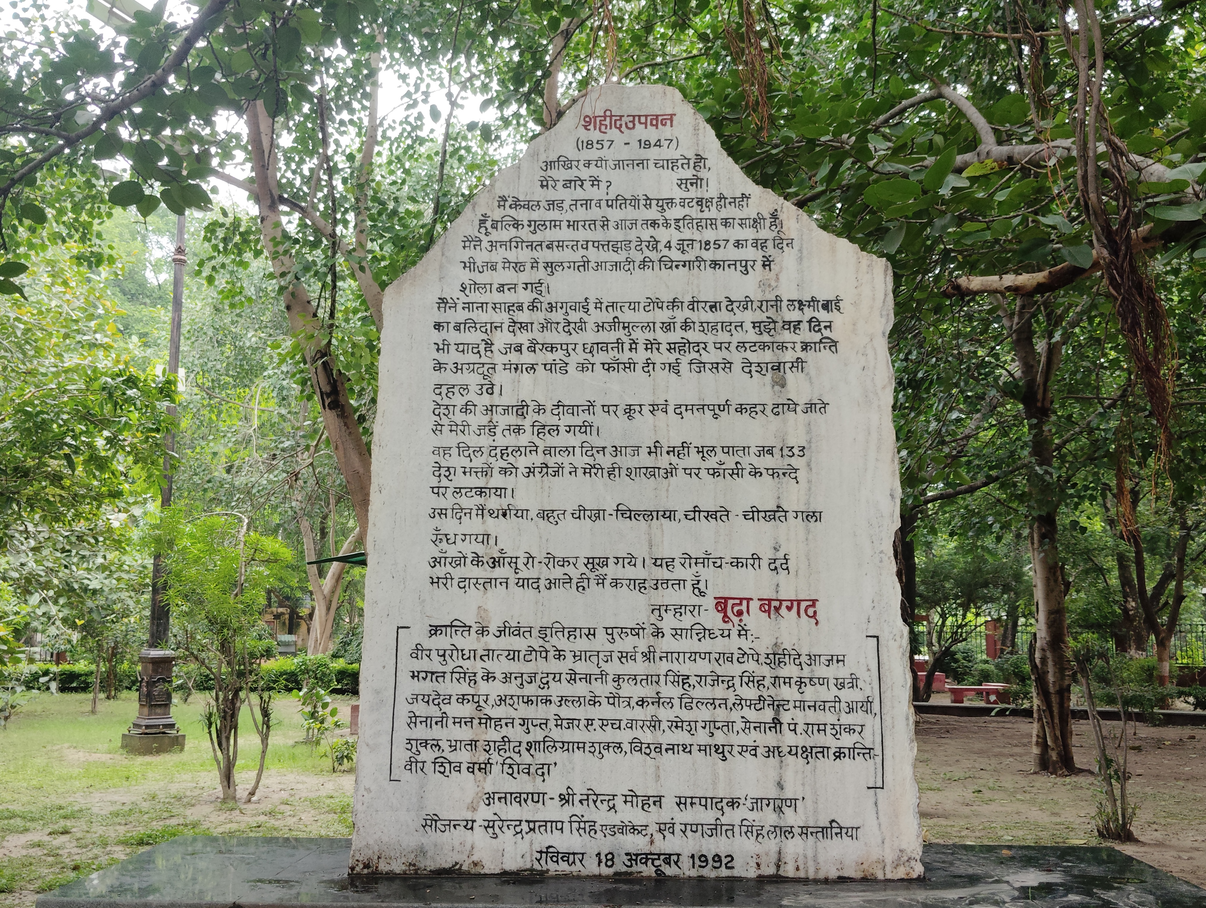 नाना राव पार्क में बूढ़ा बरगद का छाया चित्र नाना राव पार्क में बूढ़ा बरगद का छाया चित्र