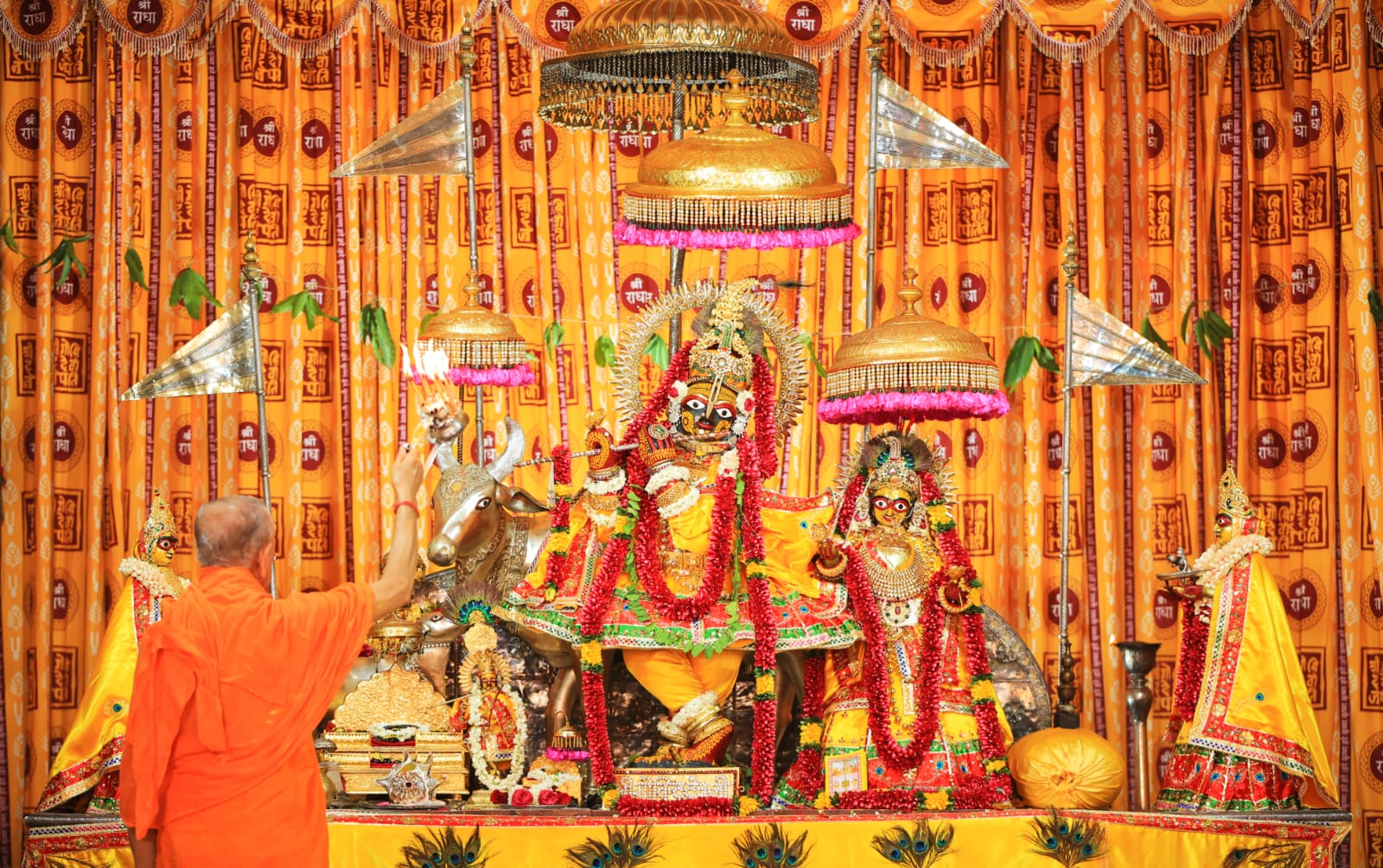 श्रीकृष्ण जन्माष्टमी महोत्सव
