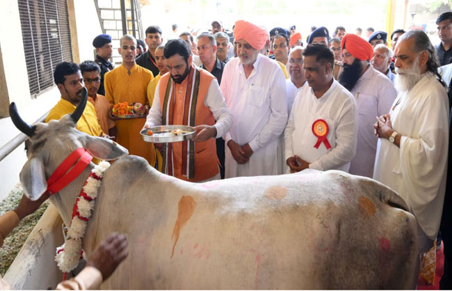 हरियाणा के मुख्यमंत्री नायब सैनी कुरुक्षेत्र में जन्माष्टमी के अवसर पर पूजा गाे सेवा करते हुए