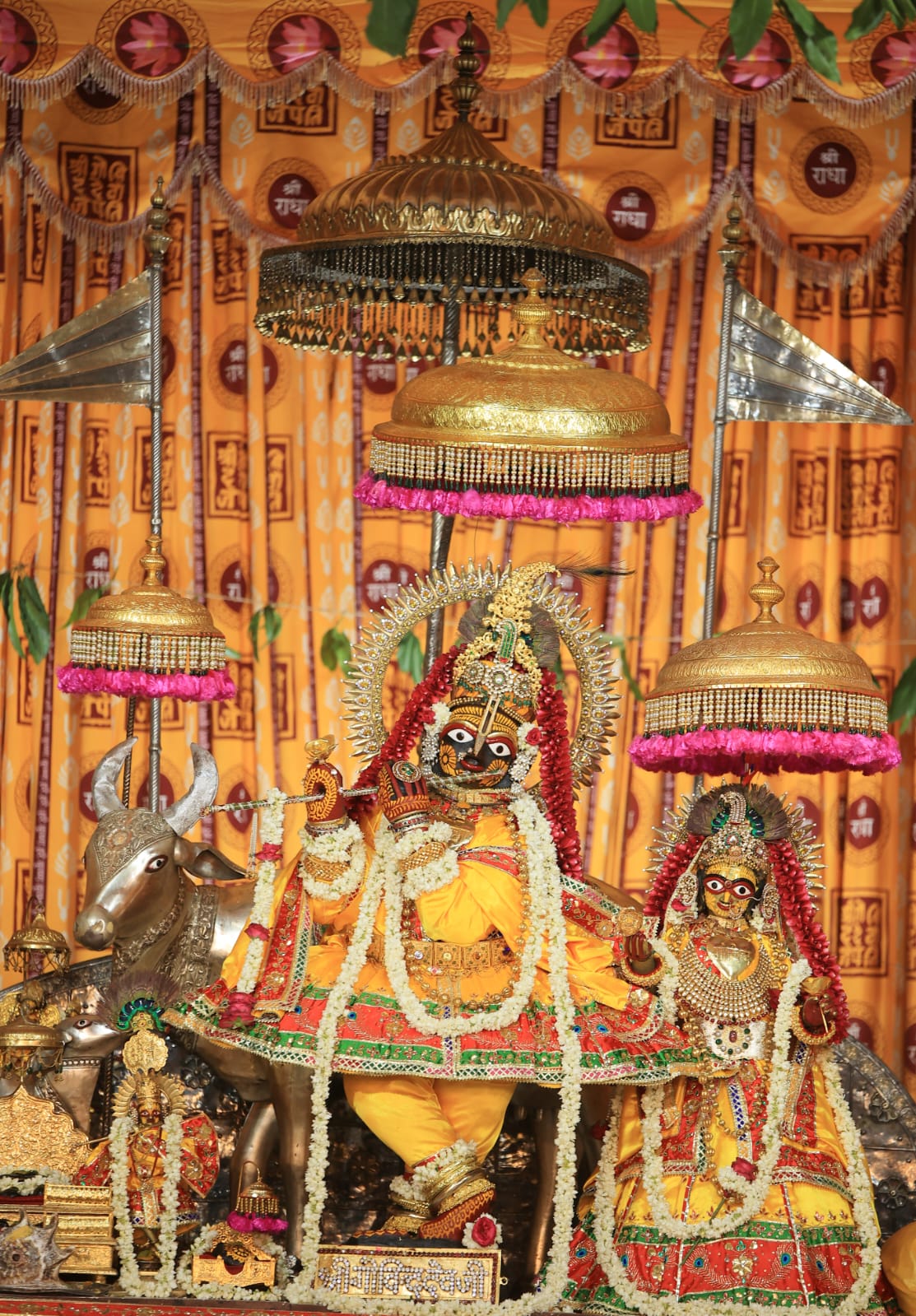छोटी काशी हुई कृष्णमय: गूंज रहा है कृष्ण जन्माष्टमी का उल्लास
