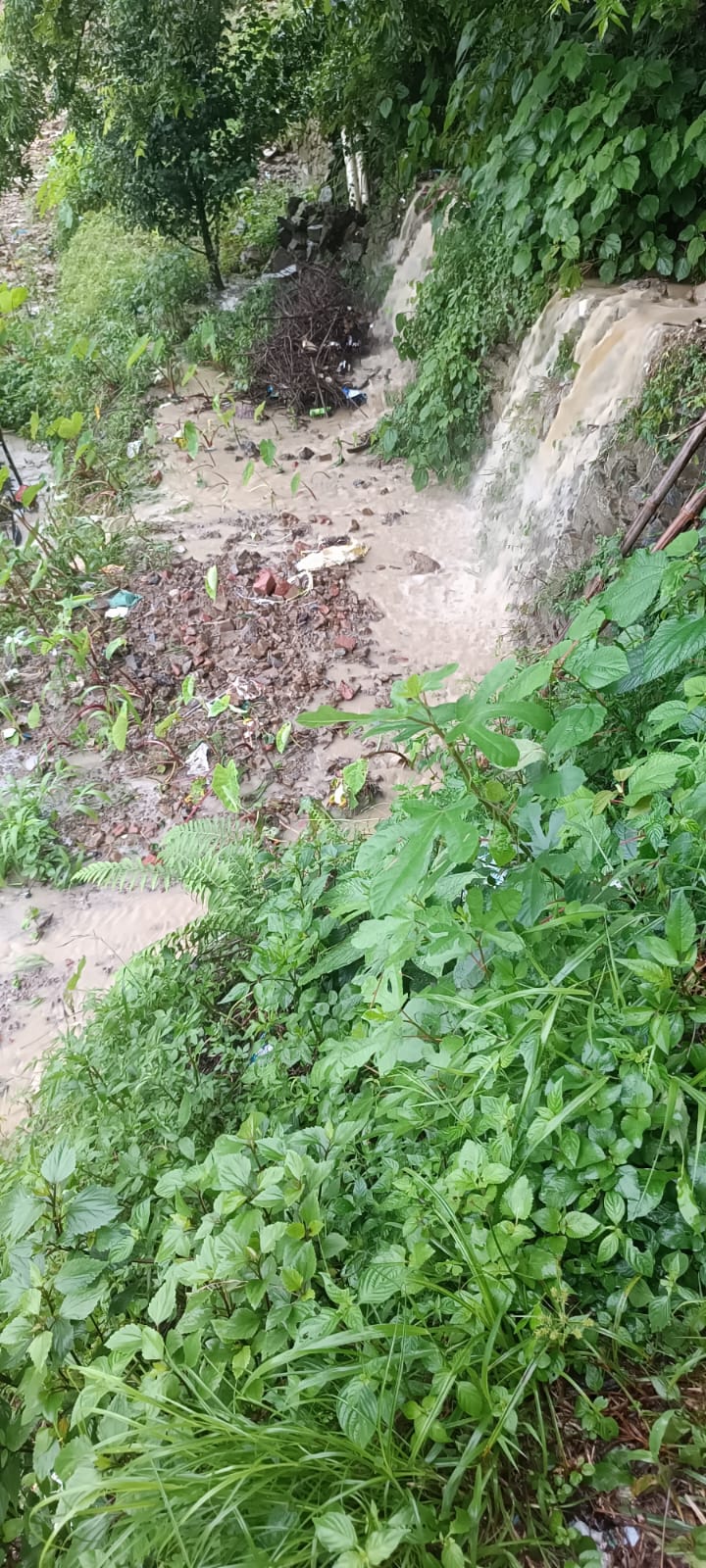 नाला बनी सतोहल की सड़क ओर खेतों में घुसा पानी।