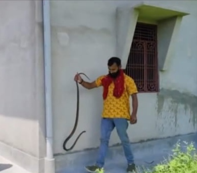 सर्प को पकडे हुए सर्प मित्र।
