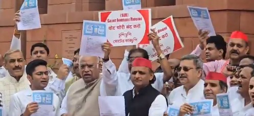 संसद भवन में प्रदर्शन करते विपक्षी सांसद