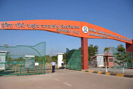 फाईल