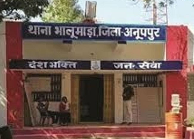 भालूमाड़ा थाना (भवन की तस्वीर)
