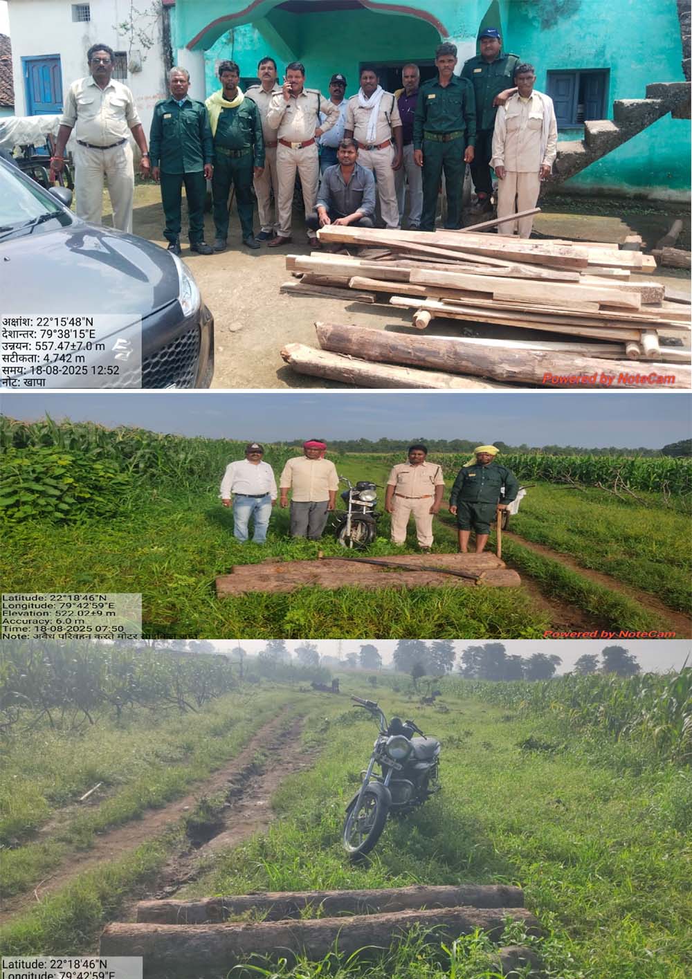 Seoni: Illegal teak logs and wood seized, two absconding