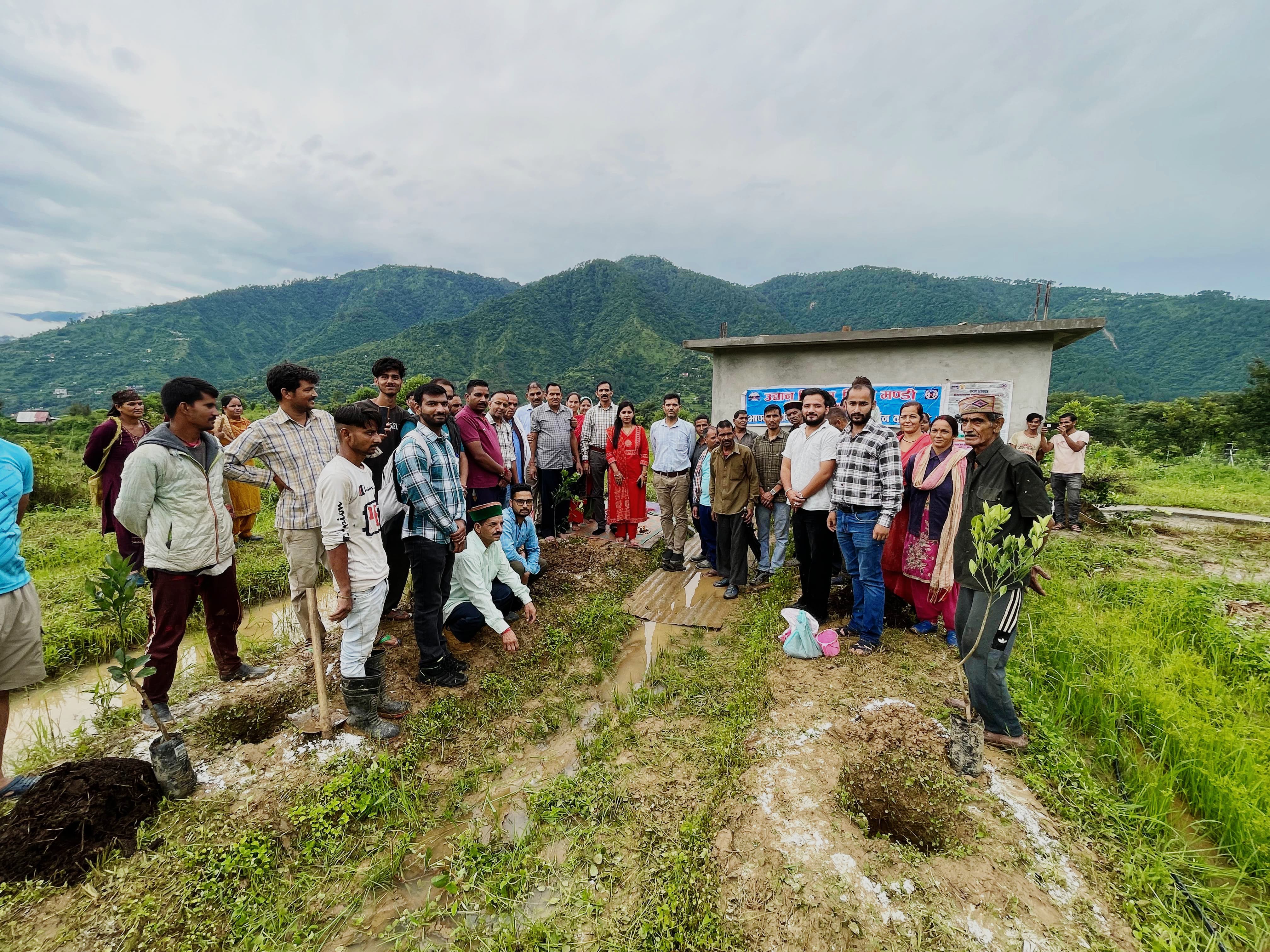 बिनोल क्लस्टर में पौधारोपण अभियान के दौरान। बिनोल क्लस्टर में पौधारोपण अभियान के दौरान।