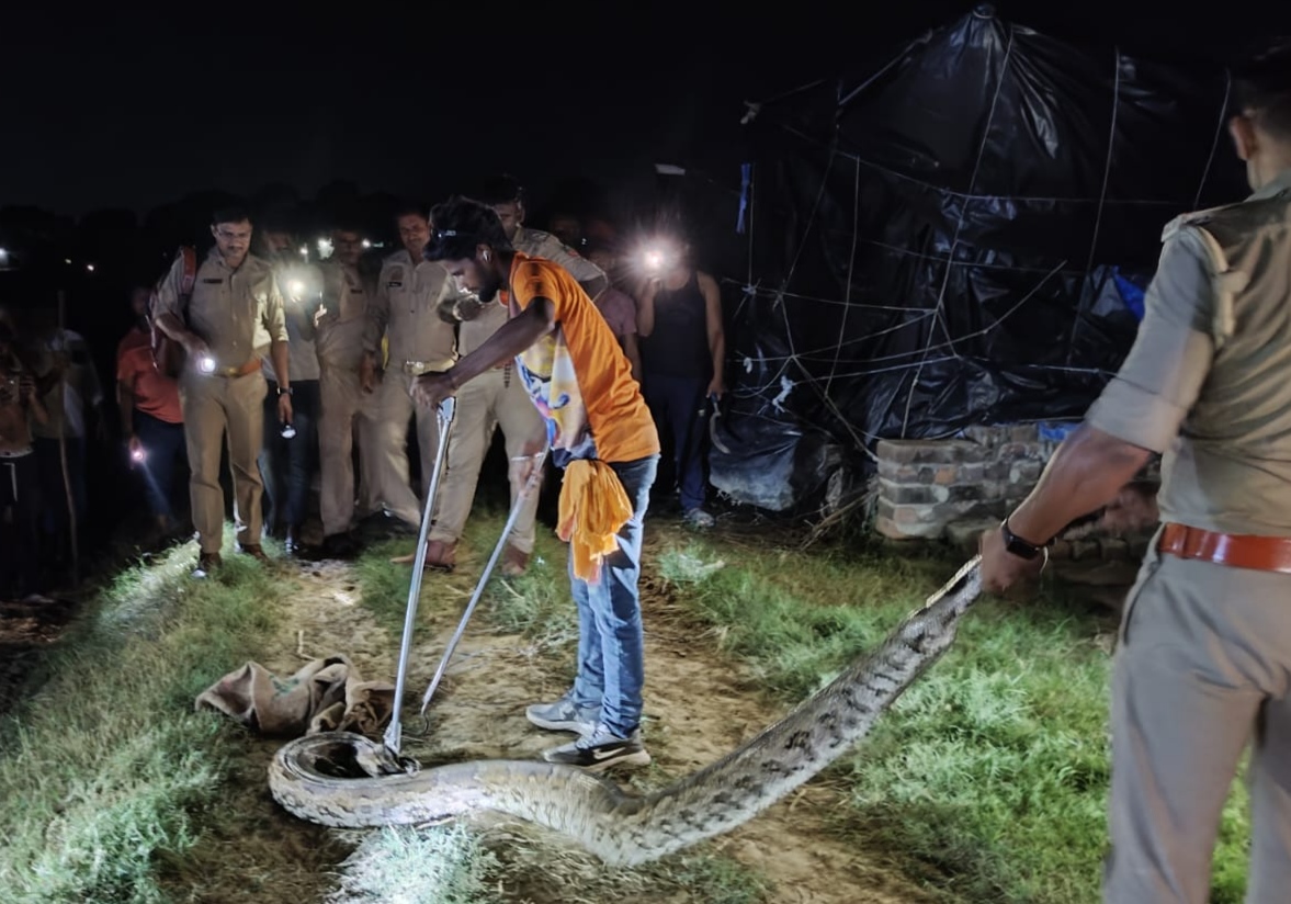 अजगर को पकडती वन विभाग और पुलिस की टीम। अजगर को पकडती वन विभाग और पुलिस की टीम।
