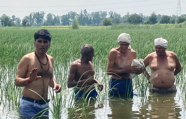 सोनीपत: खेतों में भरे पानी में खड़े होकर हालाते दिखाते किसान सोनीपत: खेतों में भरे पानी में खड़े होकर हालाते दिखाते किसान
