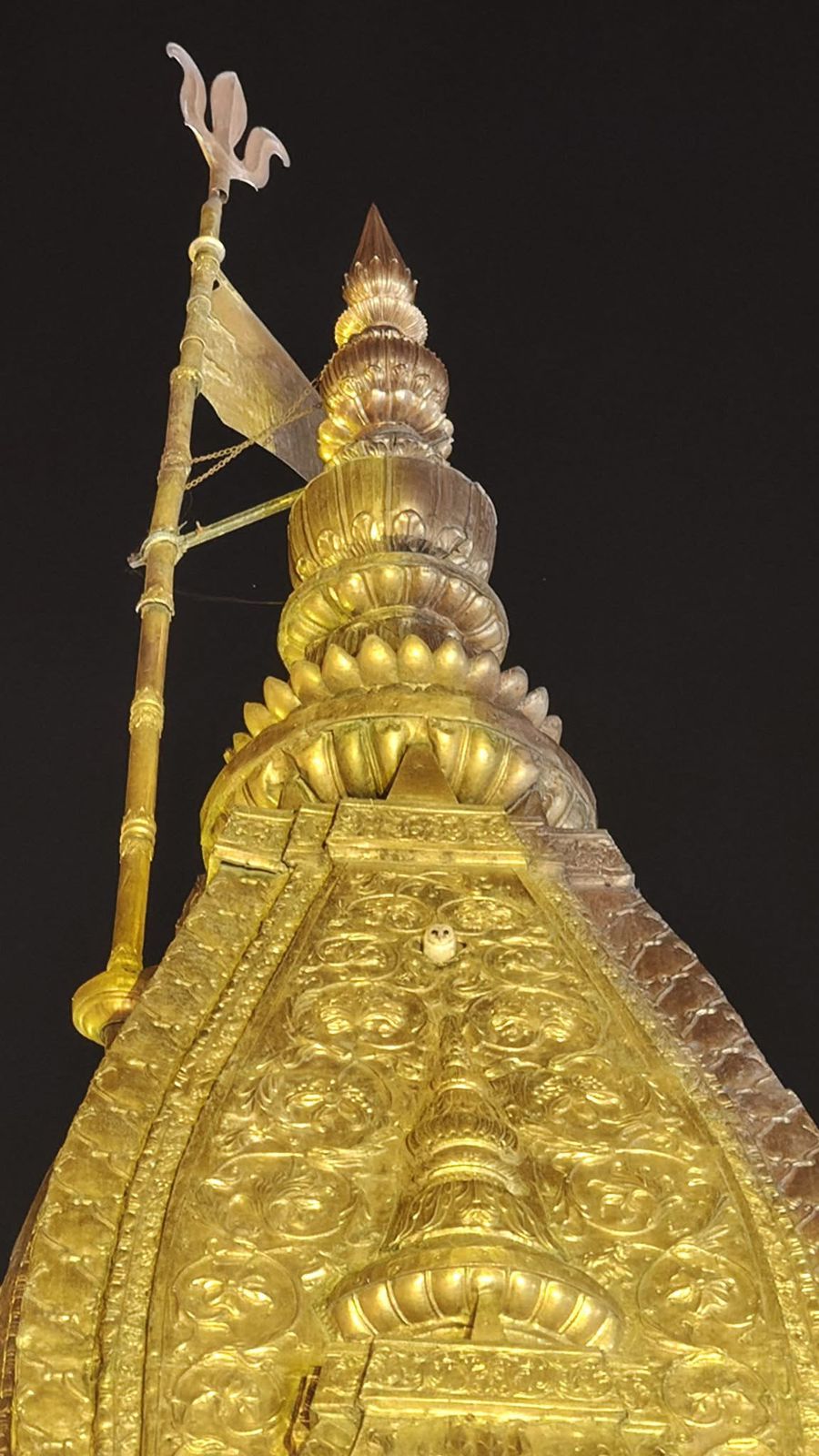 बाबा के स्वर्णशिखर पर बैठा सफेद उल्लू बाबा के स्वर्णशिखर पर बैठा सफेद उल्लू