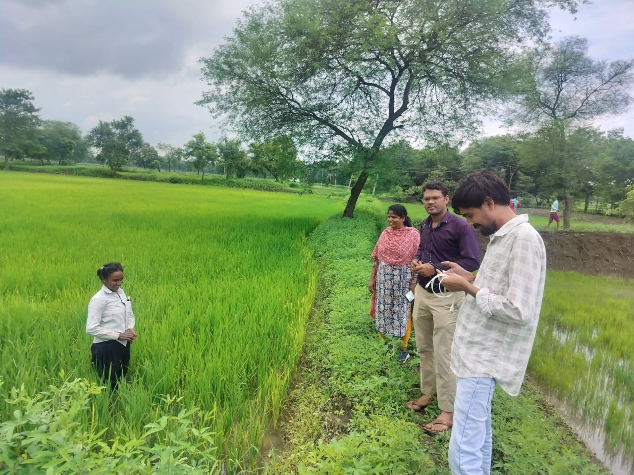 खेत में डिजिटल क्राप सर्वे करते हुए कृषि विभाग के सर्वेयर। खेत में डिजिटल क्राप सर्वे करते हुए कृषि विभाग के सर्वेयर।