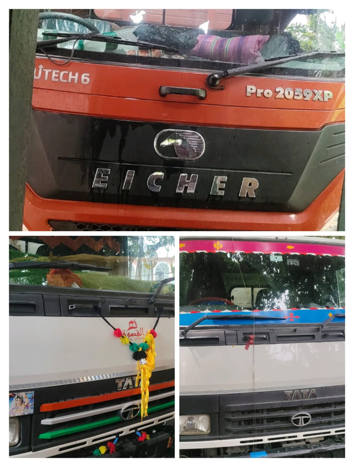जिस ट्रक से बरामद हुए मवेशी