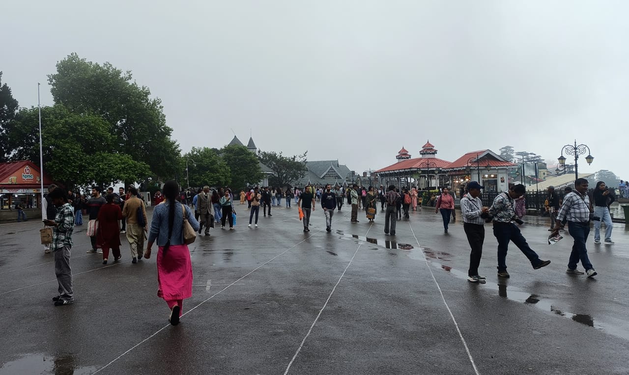 शिमला में वर्षा शिमला में वर्षा