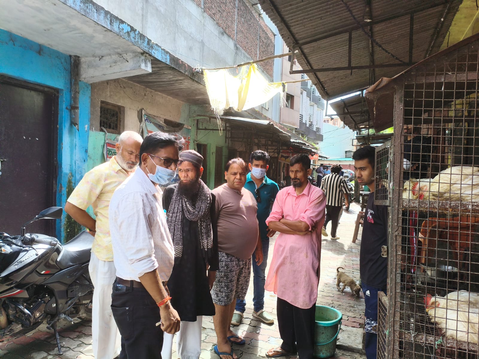 निरीक्षण करते पशु चिकित्सा अधिकारी निरीक्षण करते पशु चिकित्सा अधिकारी
