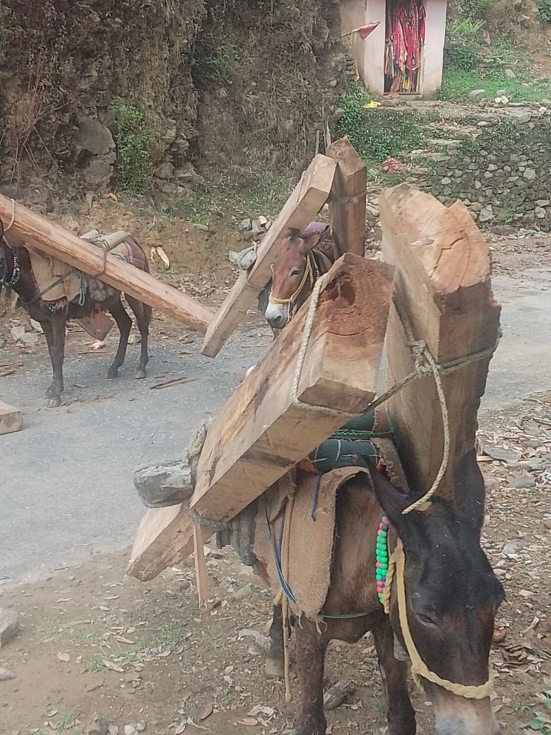 नदी बचाओ आंदोलन के सुरेश भाई के शिकायत पत्र का लिया संज्ञान।। नदी बचाओ आंदोलन के सुरेश भाई के शिकायत पत्र का लिया संज्ञान।।