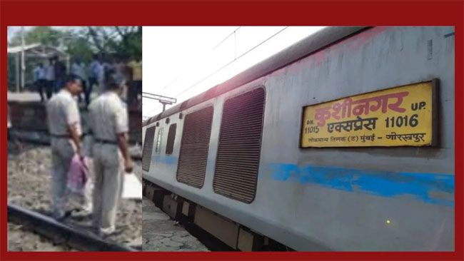 फोटो: मुंबई के एलटीटी स्टेशन पर कुशीनगर एक्सप्रेस में बच्चे का शव बरामद करने के बाद छानबीन कर रही पुलिस फोटो: मुंबई के एलटीटी स्टेशन पर कुशीनगर एक्सप्रेस में बच्चे का शव बरामद करने के बाद छानबीन कर रही पुलिस