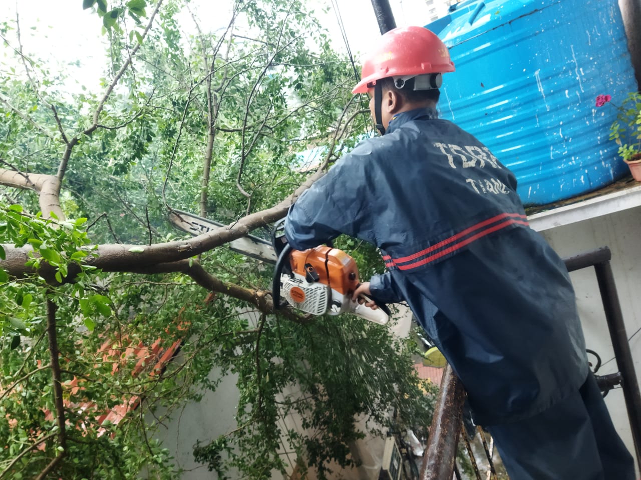 Tmc disaster management struggling in torrential rain