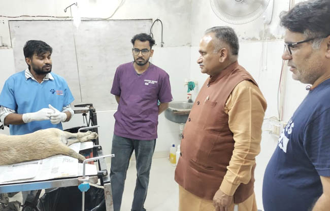 सोनीपत: कुत्तों के बंधीकरण एवं टीकाकरण की जानकारी लेते हुए मेयर राजीव जैन सोनीपत: कुत्तों के बंधीकरण एवं टीकाकरण की जानकारी लेते हुए मेयर राजीव जैन