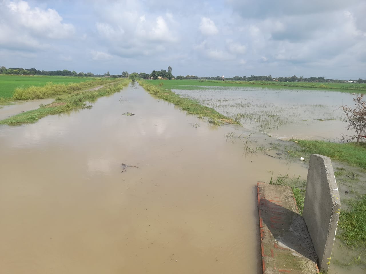 चंद्रप्रभा के पानी से पसही, सहिजनी गांव में के सिवान में पानी भरा। चंद्रप्रभा के पानी से पसही, सहिजनी गांव में के सिवान में पानी भरा।