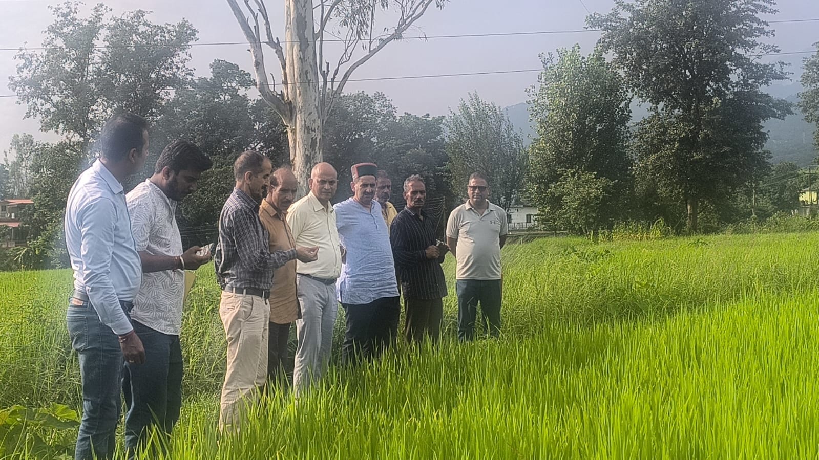 धान के खेतों के निरीक्षण करते हुए उपमुख्य सचेतक और अधिकारी।
