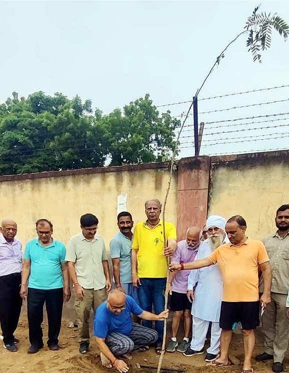 पेड़ लगाकर लिया हरियाली का संकल्प, बीकानेर में अनोखी पहल पेड़ लगाकर लिया हरियाली का संकल्प, बीकानेर में अनोखी पहल