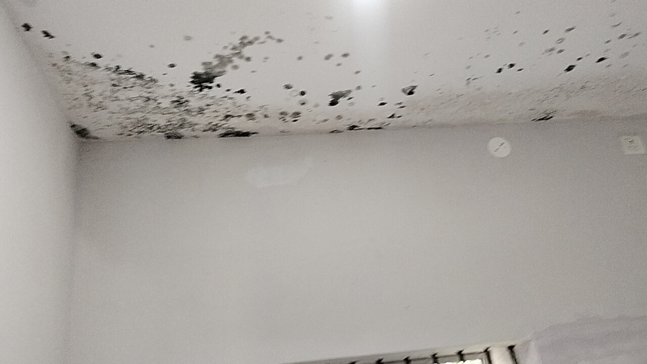 छत से पानी के कारण सीलन