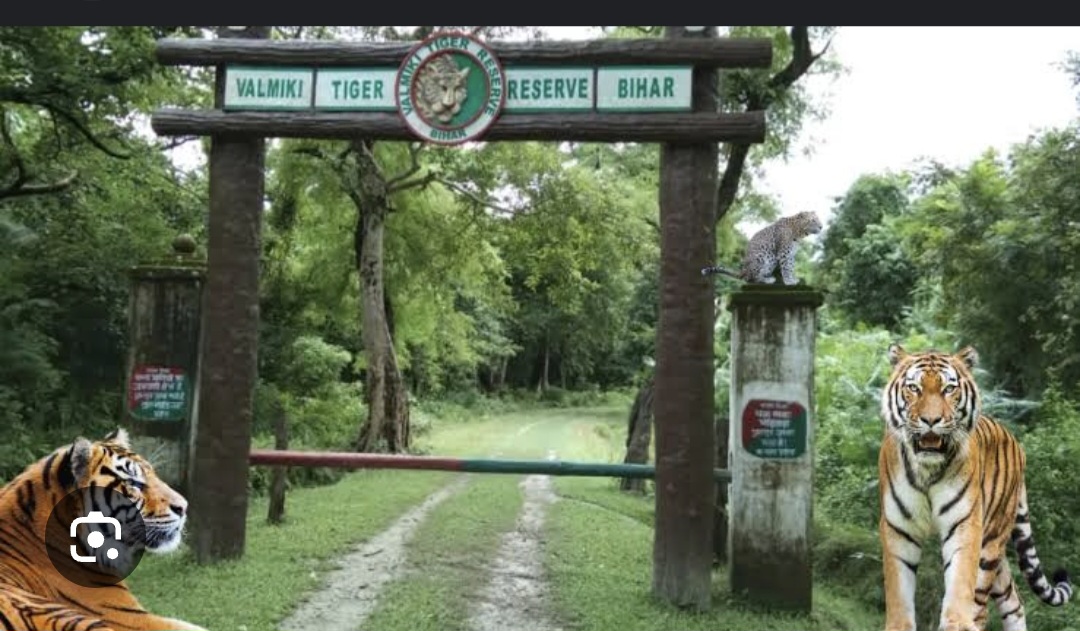 Valmiki Valmiki