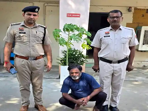 पुलिस की गिरफ्त में छेड़छाड़ का आरोपी