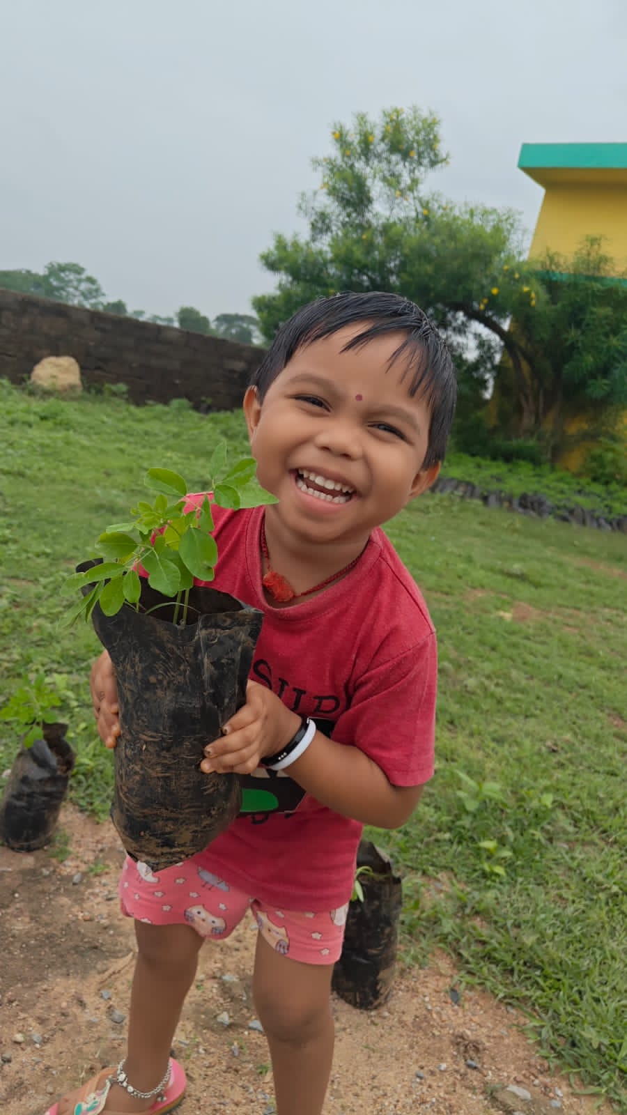 मुनगा पौधा हाथ में ल‍िए एक बच्‍ची मुस्‍कुराती हुई