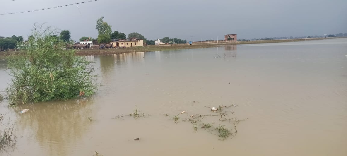 विकासखंड कोन क्षेत्र में गंगा की बाढ़ से एक बार फिर बढ़ता जलस्तर।