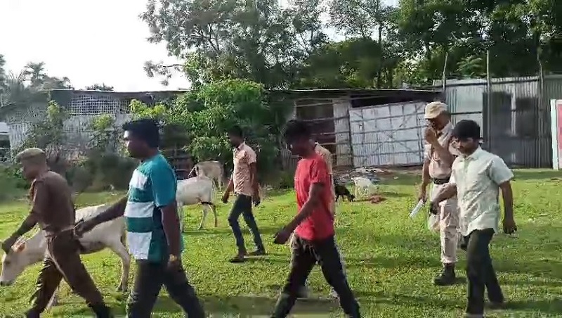 असमः गोलाघाट जिलांतर्गत देरगांव के सकियाल में गाय का कटा सिर मिलने की जांच में जुटी पुलिस असमः गोलाघाट जिलांतर्गत देरगांव के सकियाल में गाय का कटा सिर मिलने की जांच में जुटी पुलिस