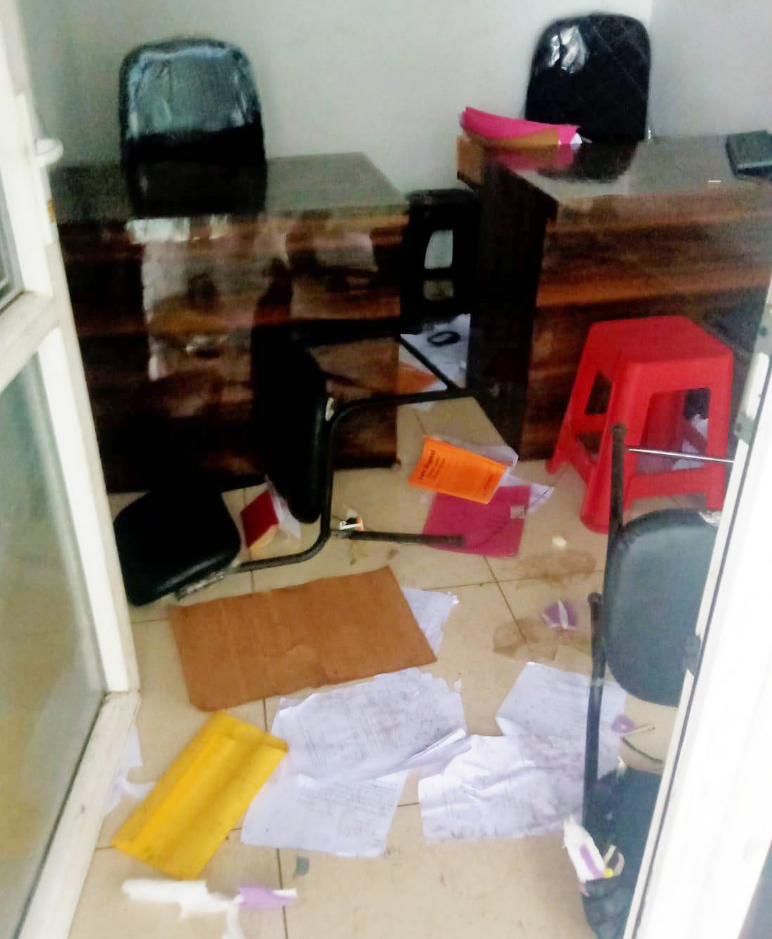 Monkeys create havoc in the court premises, tear files in ADGC's chamber Monkeys create havoc in the court premises, tear files in ADGC's chamber