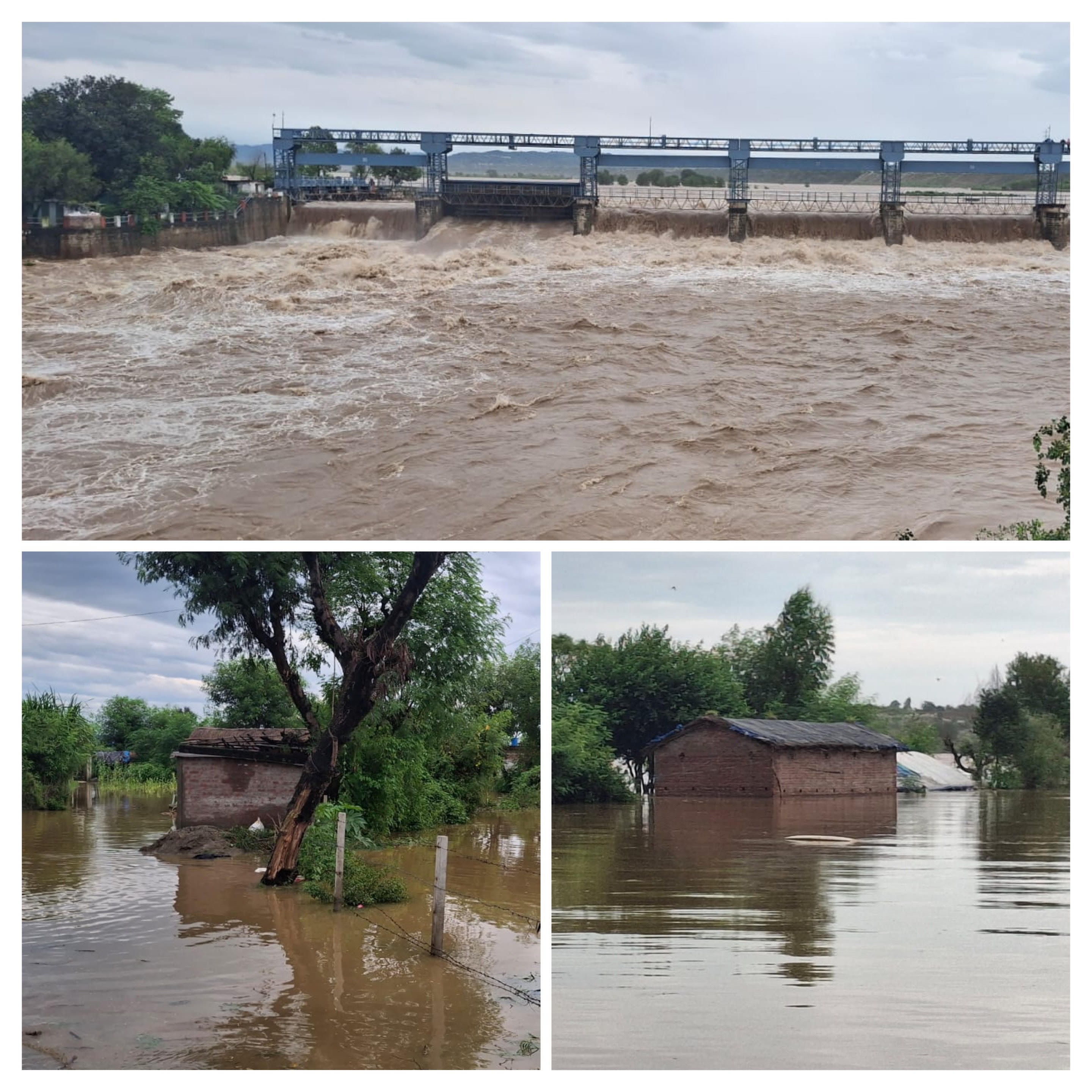 Thousands of cusecs of water released from Ranjit Sagar Dam after 37 years, many areas adjoining Ravi submerged, people migrated Thousands of cusecs of water released from Ranjit Sagar Dam after 37 years, many areas adjoining Ravi submerged, people migrated