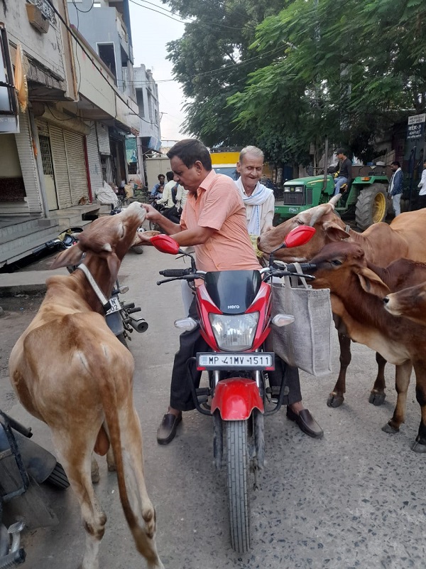गौ सेवा: प्राचार्य 10 किलो आटे की रोटी रोज घूम-घूम कर खिलाते हैं आवारा पशुओं को गौ सेवा: प्राचार्य 10 किलो आटे की रोटी रोज घूम-घूम कर खिलाते हैं आवारा पशुओं को