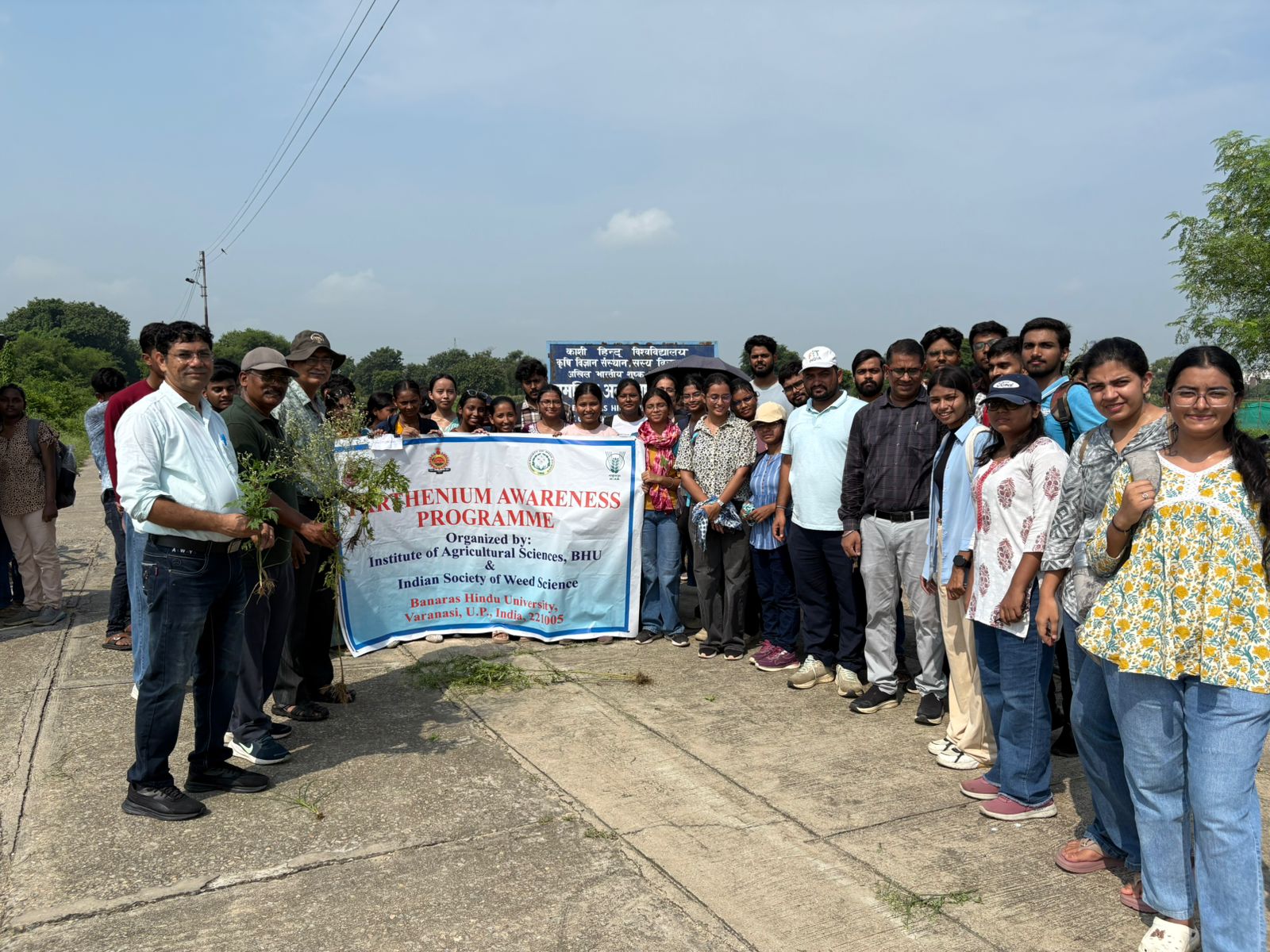 परिसर स्थित खेतों से पार्थेनियम उखाड़कर सफाई अभियान चलाते वैज्ञानिक और छात्र। परिसर स्थित खेतों से पार्थेनियम उखाड़कर सफाई अभियान चलाते वैज्ञानिक और छात्र।