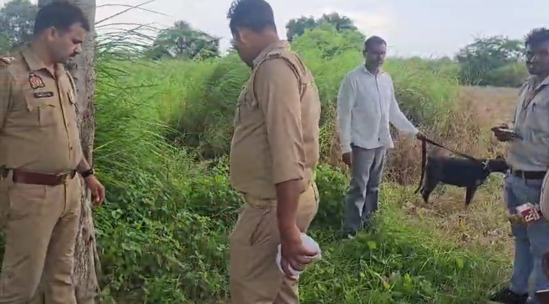 मौके पर मौजूद पुलिस मौके पर मौजूद पुलिस