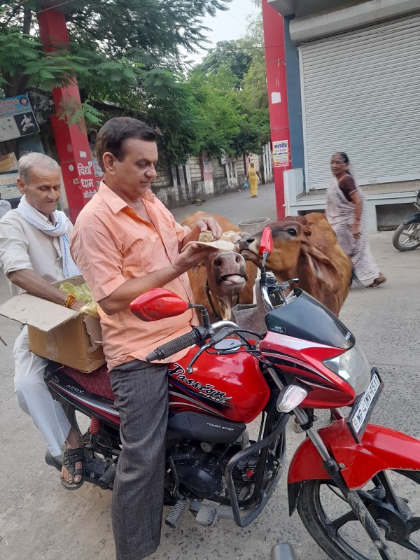 गौ सेवा: प्राचार्य 10 किलो आटे की रोटी रोज घूम-घूम कर खिलाते हैं आवारा पशुओं को गौ सेवा: प्राचार्य 10 किलो आटे की रोटी रोज घूम-घूम कर खिलाते हैं आवारा पशुओं को