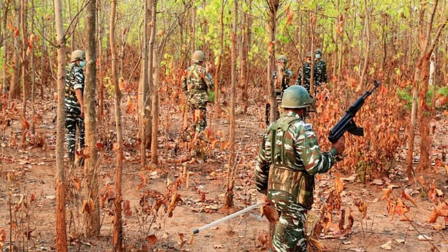 फाईल फोटो: नक्सलवादियों की तलाश करती पुलिस फाईल फोटो: नक्सलवादियों की तलाश करती पुलिस