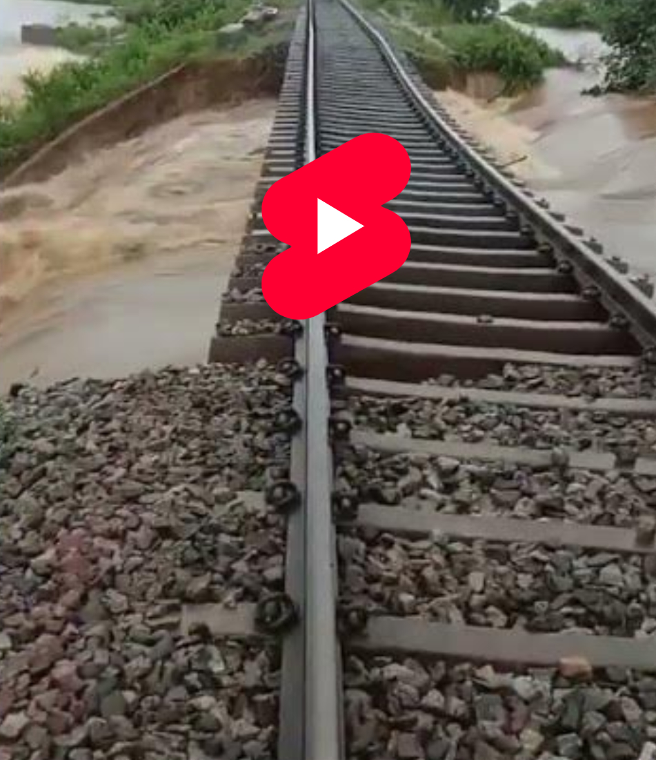 Rains Telangana Rains Telangana