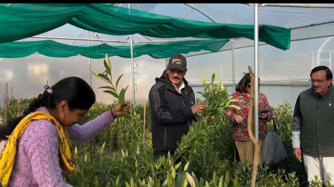 जनपद पौड़ी गढ़वाल के कोट ब्लॉक की महिलाएं लिलियम फूलों की खेती।