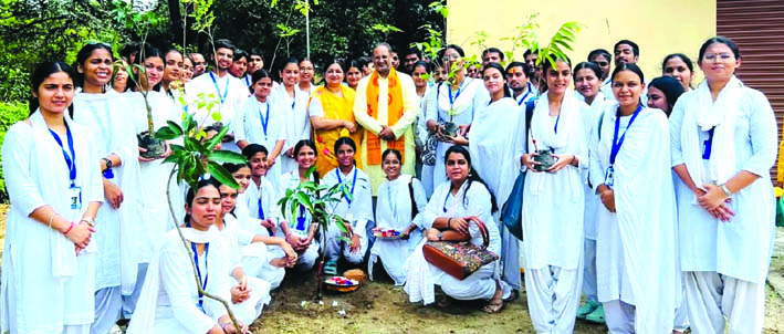 पौधारोपण के दौरान